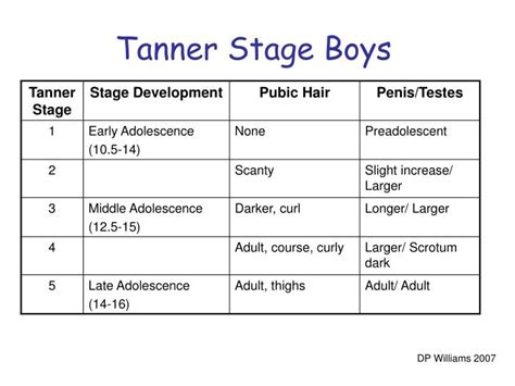 Tanner Chart Stages Of Puberty