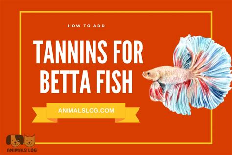 Tannins For Betta