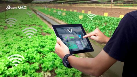 Tantangan Penggunaan Teknologi Sensor Pertanian