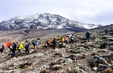 Tanzania Elsewhere Team