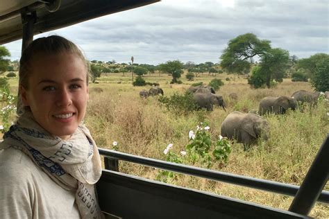 Tanzania Safari Expectations