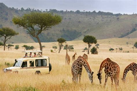Tanzania Safari tips