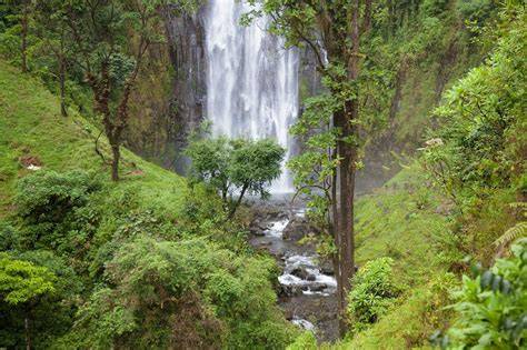 Tanzania Waterfall