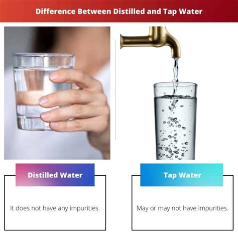 Tap Water Vs. Distilled Water
