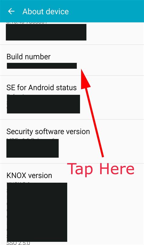 Tap on Build Number