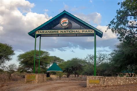 Tarangire