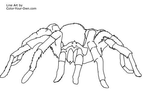 Tarantula Coloring Page
