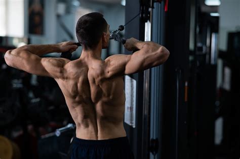 Target Training: Exercises to Sculpt Your Back