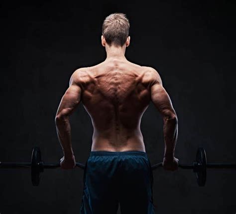 Target Training: Sculpting Your Back Muscles