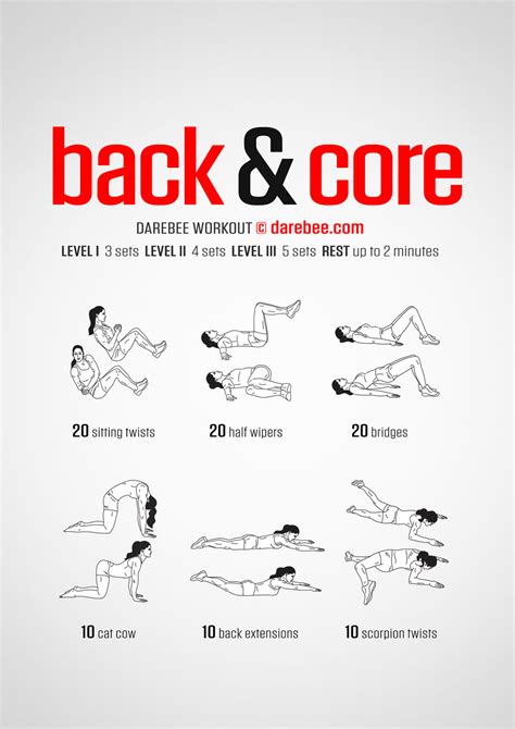 Targeted Exercises: Sculpting Your Back and Core