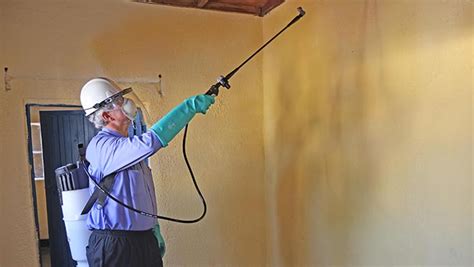 Targeted Insecticides and Residual Sprays