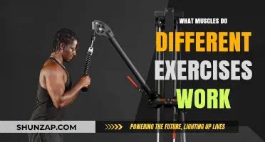 Targeted Training: Exercises That Actually Work