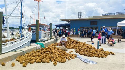 Tarpon Springs Docks
