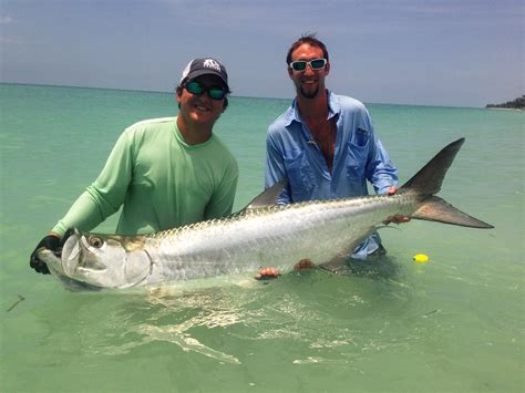 Tarpon