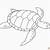 Tartaruga Sulcata para colorir imprimir e desenhar