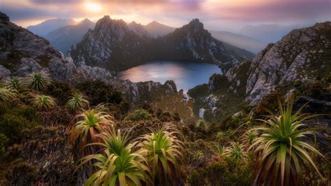 Tasmania in 2 Days: The Best of Tassie Explored