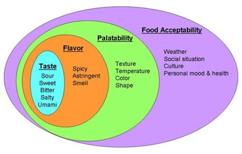 Taste and Texture: The Palatability Factor
