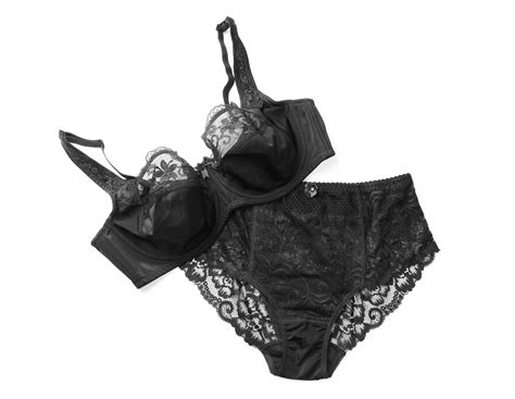 Tasteful Prowant Intimate Collection: 2026 Edition