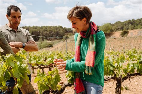 Tasting Experience Montserrat