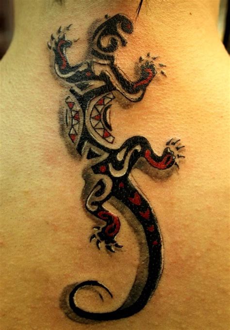 Tato Cicak