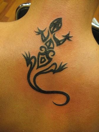 Tato Cicak Lucu