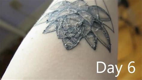 Tattoo Through Healing Process Tatto Pictures