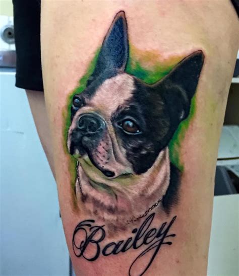 Tattoo Boston Terrier