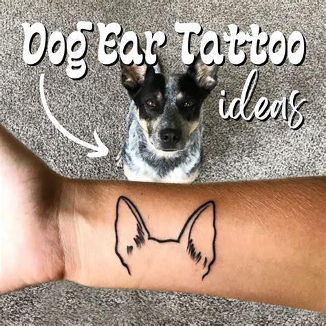 Tattoo On Dog Ear