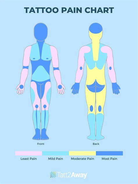 Tattoo Pain Scale Chart