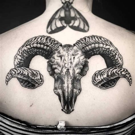 Tattoo Ram Skull