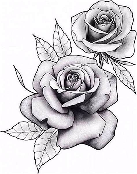 roses tattoo sketch Rose drawing tattoo, Rose tattoos