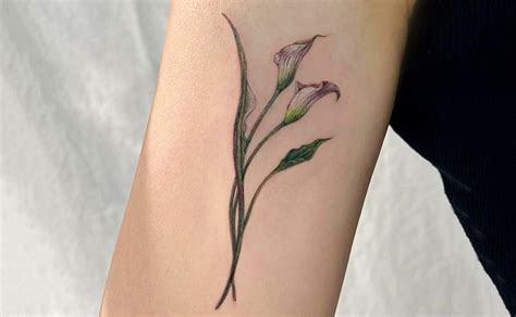 Tattoos Of Calla Lilies
