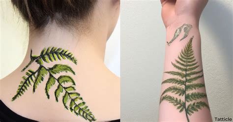 Tattoos Of Ferns
