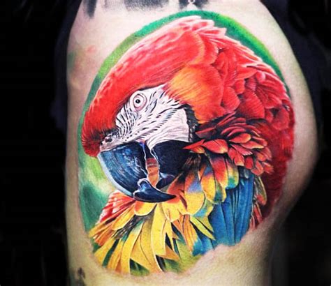 Tattoos Of Parrots