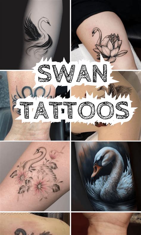 Tattoos Of Swans