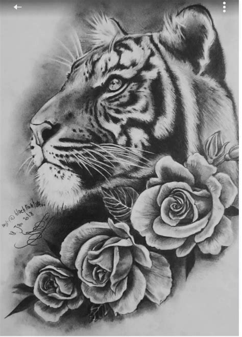 Tattoos Of Tigers And Roses