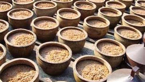 Tauco Terbuat dari Kacang Kedelai: Kelebihan dan Kekurangan