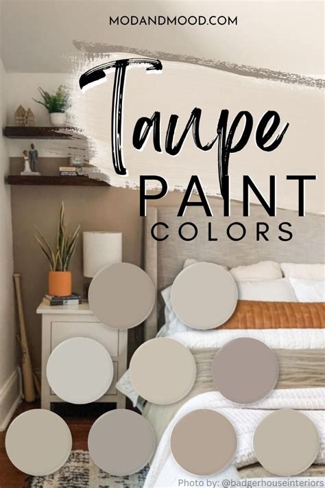 Discover the Natural Elegance of Taupe Paint Colors
