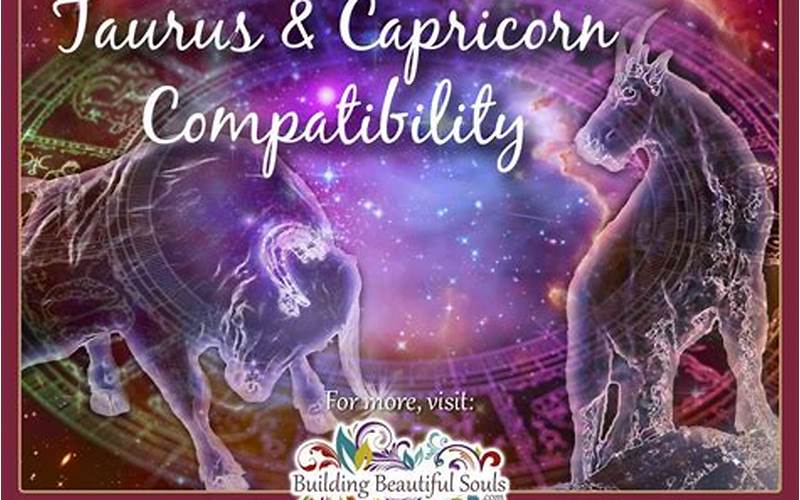 Taurus And Capricorn Career