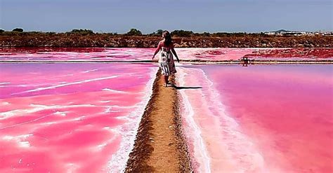 Tavira Jeep Adventure: Pink Salt Pans & Nature Review