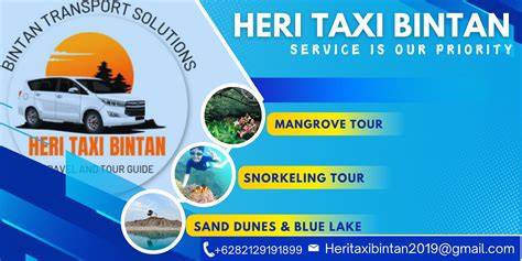Taxi Bintan