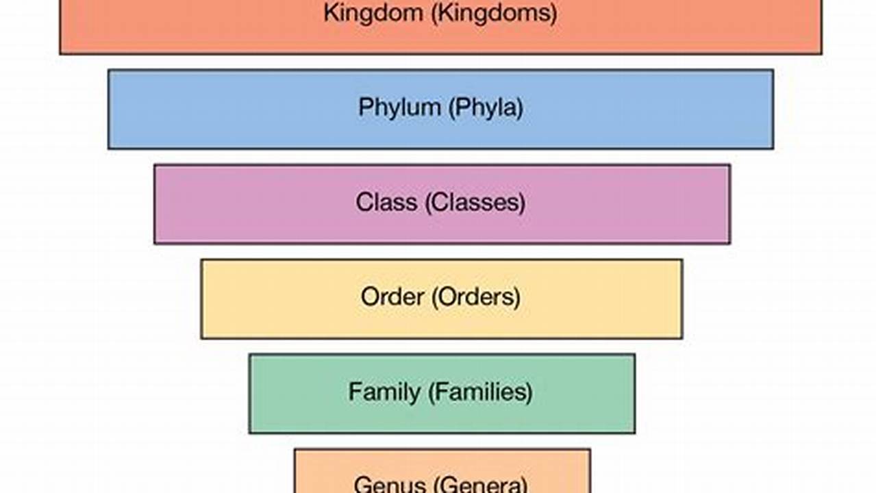 Taxonomy Classification