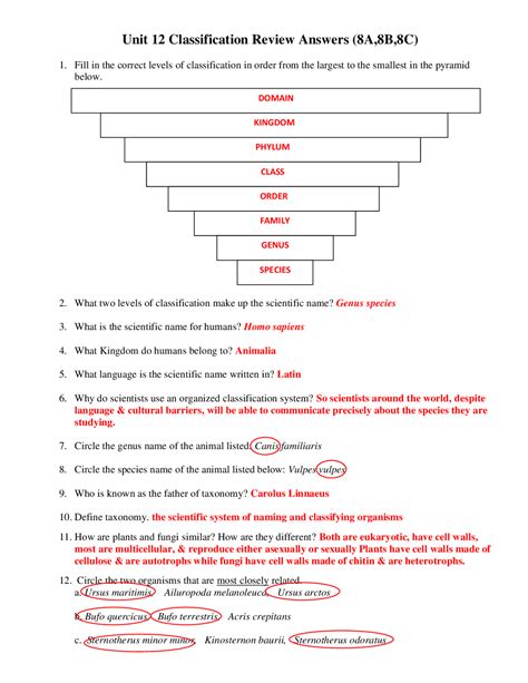 Taxonomy Worksheet Answer Key