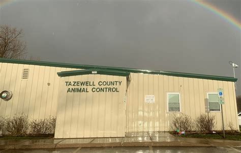 Discover Professional Animal Control Services in Tazewell County for Your Furry Friends