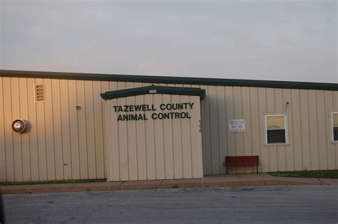Tazewell County Animal Control: Keeping Your Furry Friends Safe in Tazewell, VA