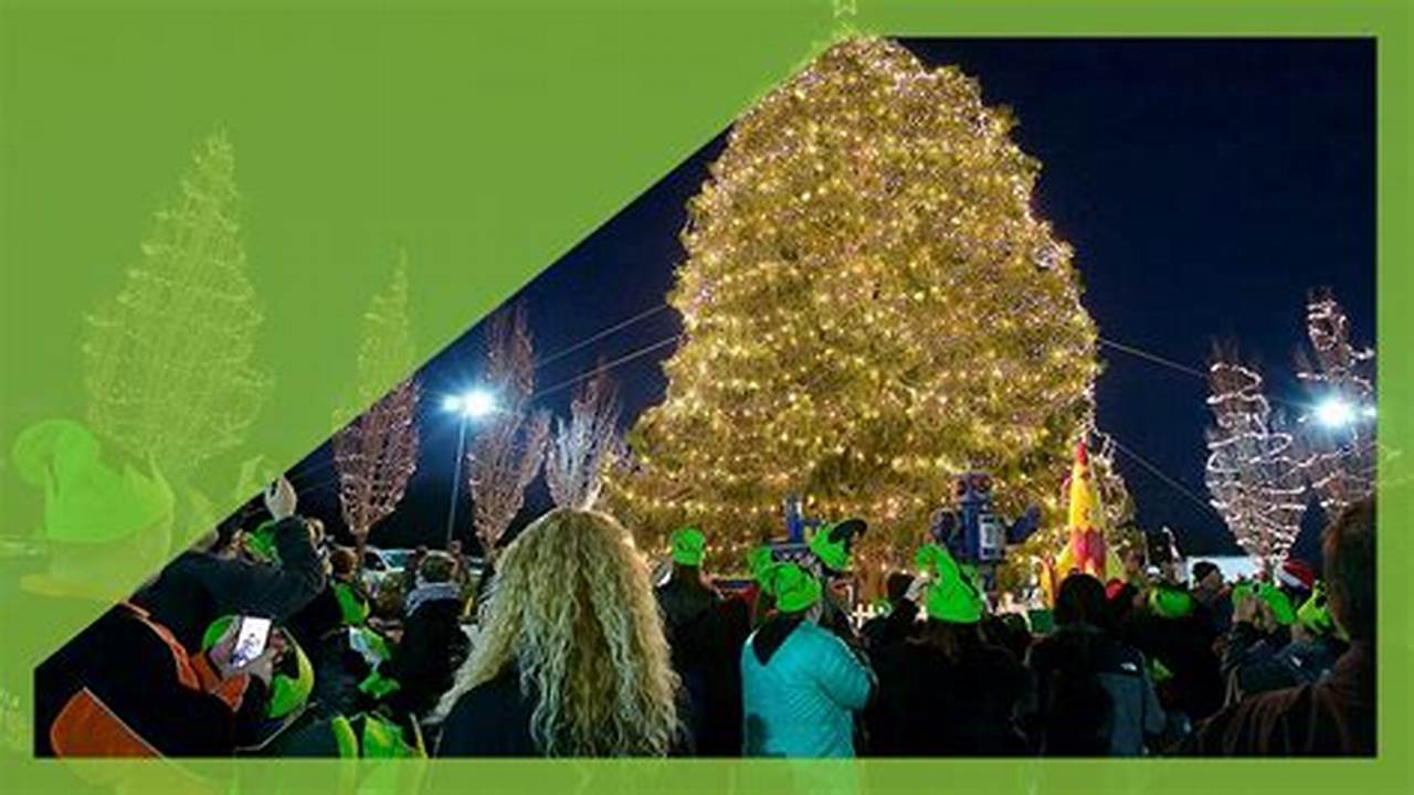 Td Bank Tree Lighting 2024