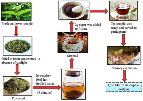 Tea Preparation Process