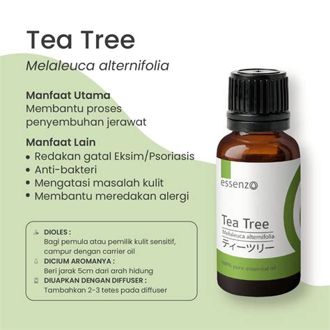 Tea Tree Oil Jerawat