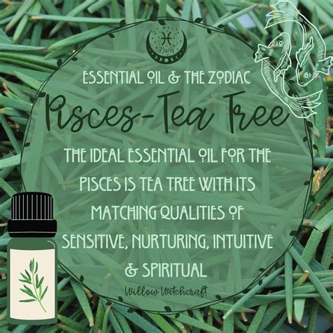 Discover the Miraculous Benefits of Tea Tree Oil: Unleashing its Enchanting Properties for a Holistic Experience