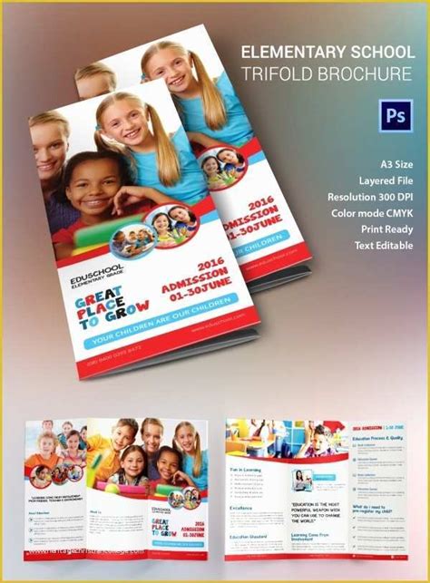 Teacher Brochure Template Free